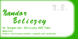 nandor beliczey business card